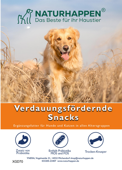 Snacks verdauungsfördernd