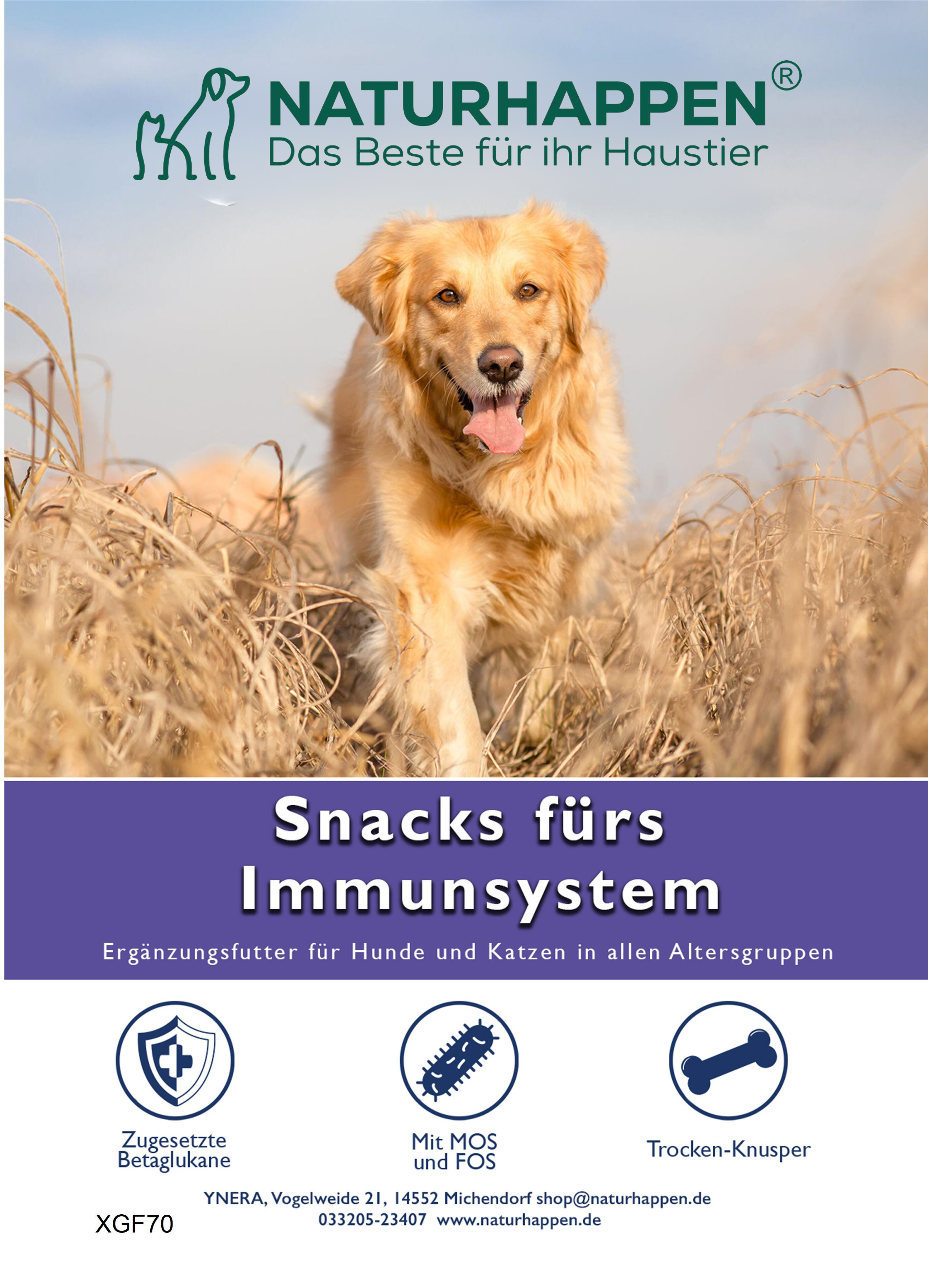 Snacks fürs Immunsystem
